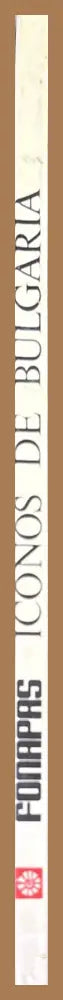 Practical Numerical Algorithms for Chaotic System - Thomas S. Parker Leon O. Chua - Книги