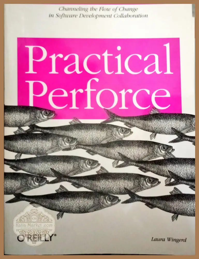 Practical Perfect - Laura Wingerd - Книги