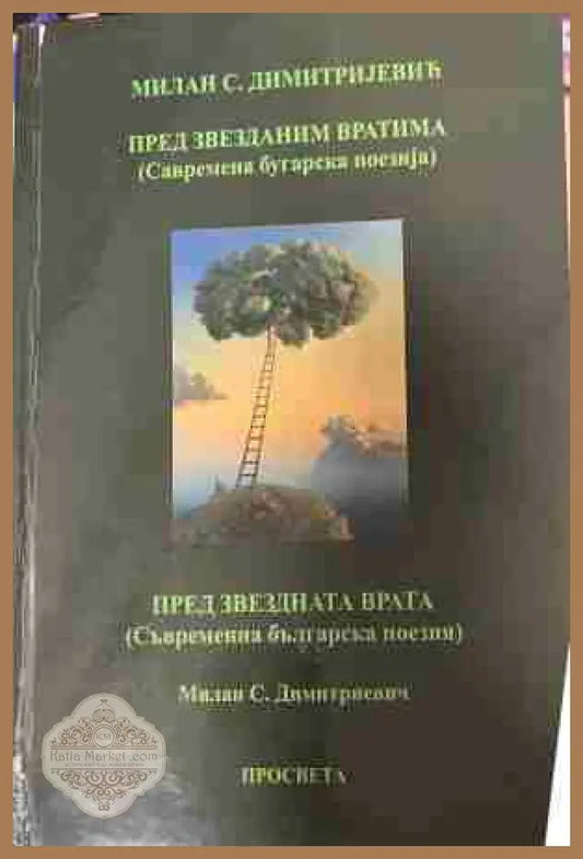 Корица на „Пред звезданим вратима / Пред звездната врата“ от Милан С. Димитријевић и Милан С. Димитриевич