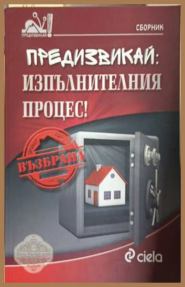 Предизвикай: Изпълнителния процес! - Колектив - Книга