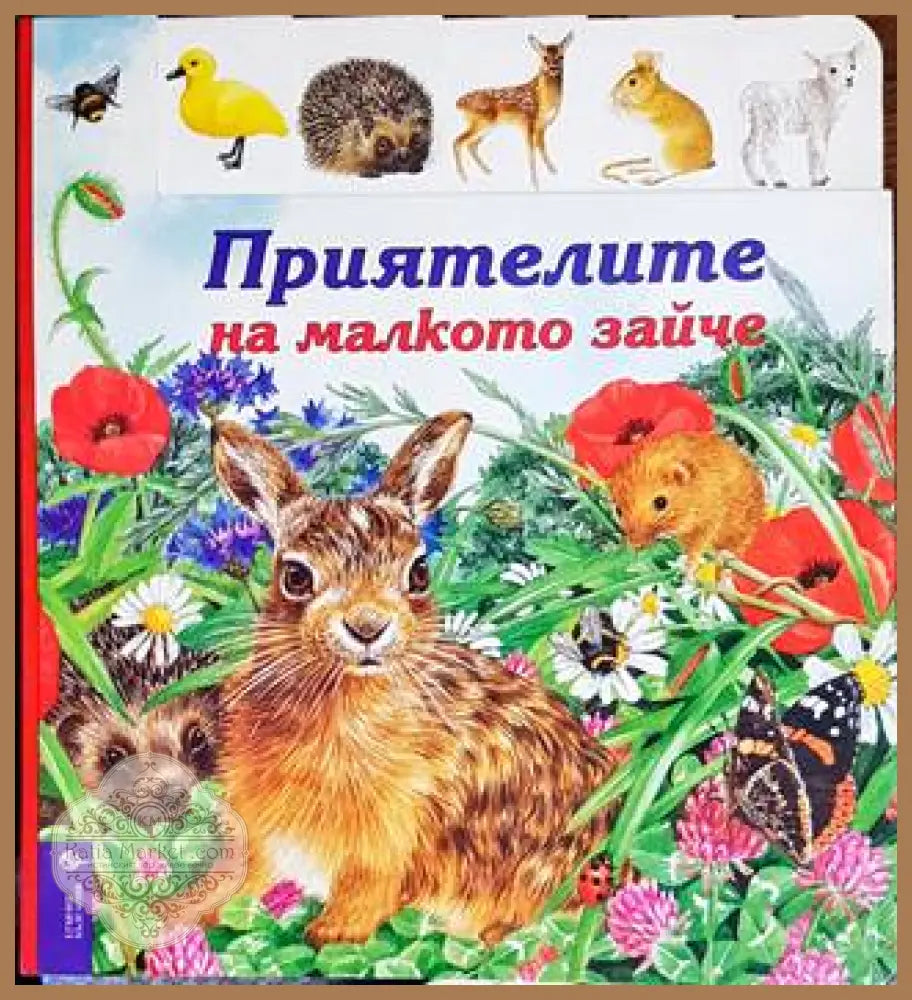 Приятелите на малкото зайче - Книги