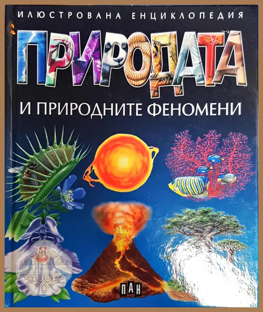 Природата и природните феномени - Колектив - Книги