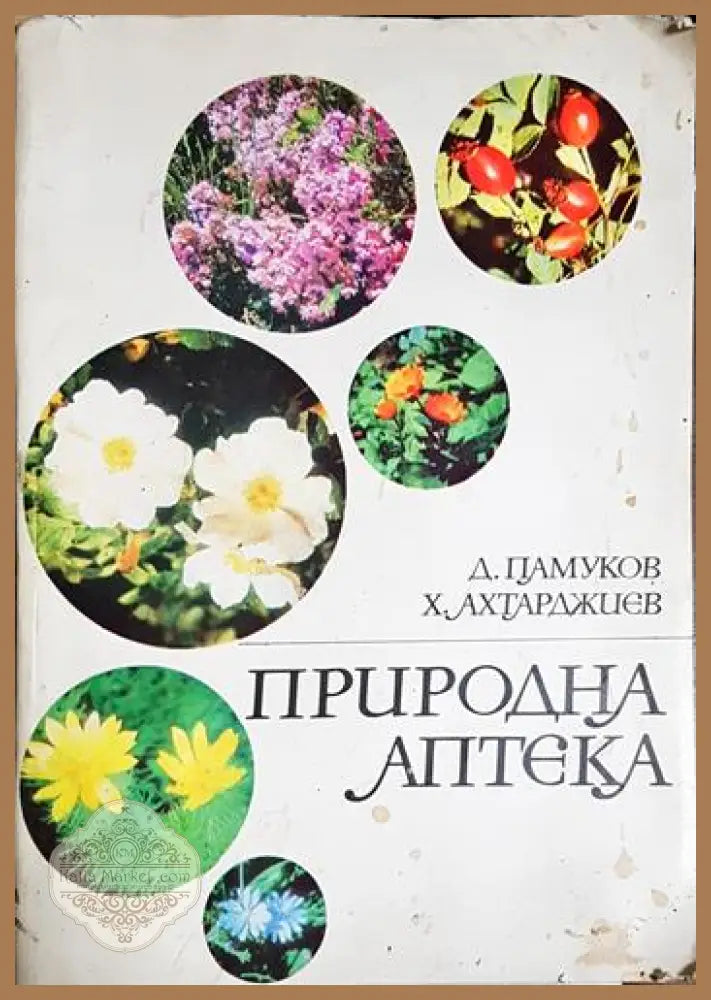 Природна аптека-ДП.ХА - Димитър Памуков Христо Ахтарджиев - Книга