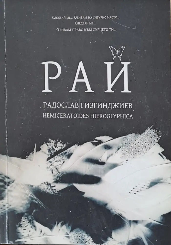 Притчата на исихастите (244) - Книга
