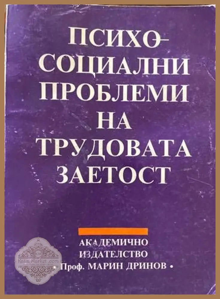 Психосоциални проблеми на трудовата заетост - Веселина Русинова Робърт Руу - Книги