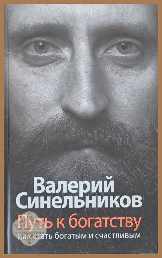 Путь к богатству - Валерий Синильников - Книги