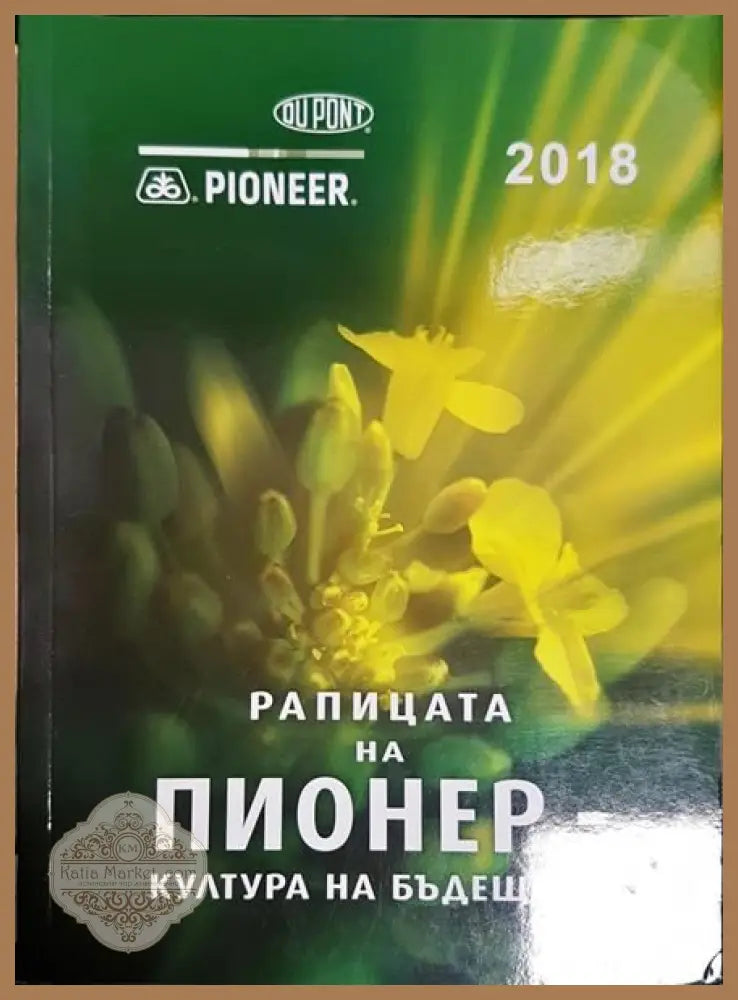 Рапицата на Пионер - култура на бъдещето - Книги