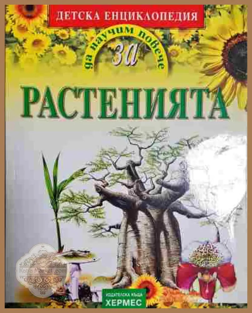 Растенията. Детска енциклопедия - Колектив - Книга