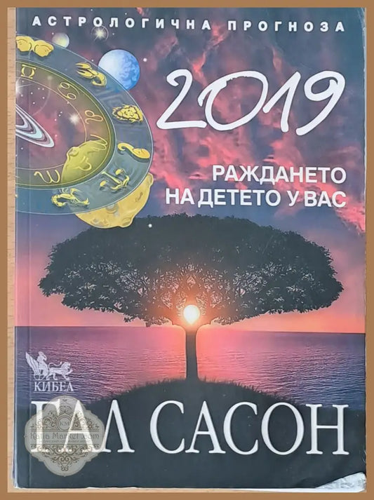 Раждането на детето у Вас - Гал Сасон - Книги