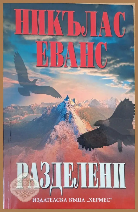 Разделени - Никълъс Еванс - Книги
