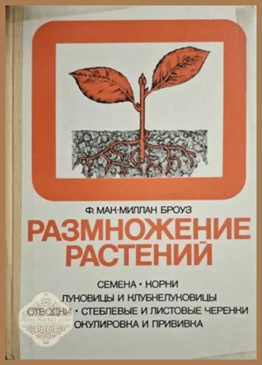 Размножение растений - корица