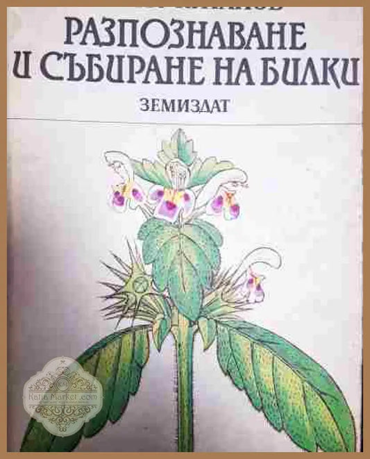 Разпознаване и събиране на билки - Борис Китанов - Борис Китанов - Книга