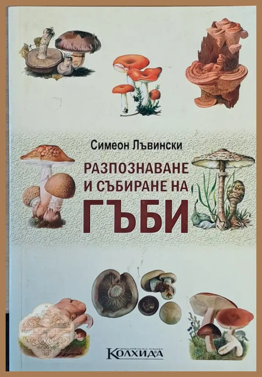 Разпознаване и събиране на гъби - Симеон Лъвински - Книги