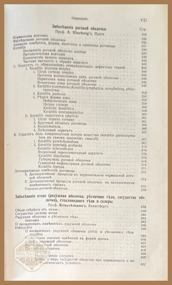 Руководство по глазнымъ болъзнямъ - Д-ръ theodor Axenfeld - Книги