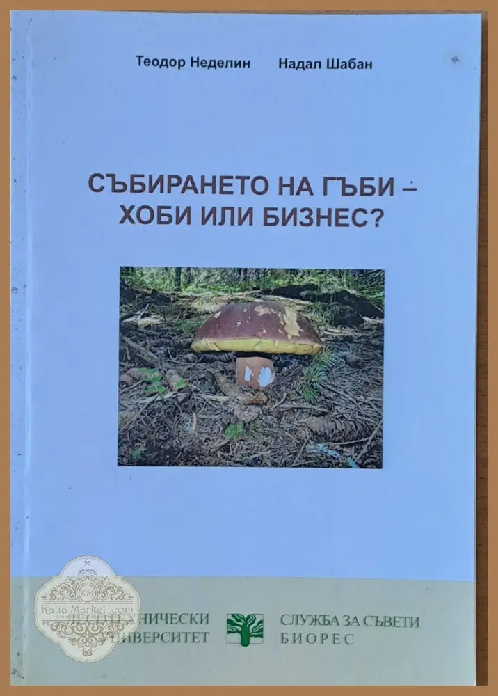 Събирането на гъби - хоби или бизнес? - Теодор Неделин Надал Шабан - Книги