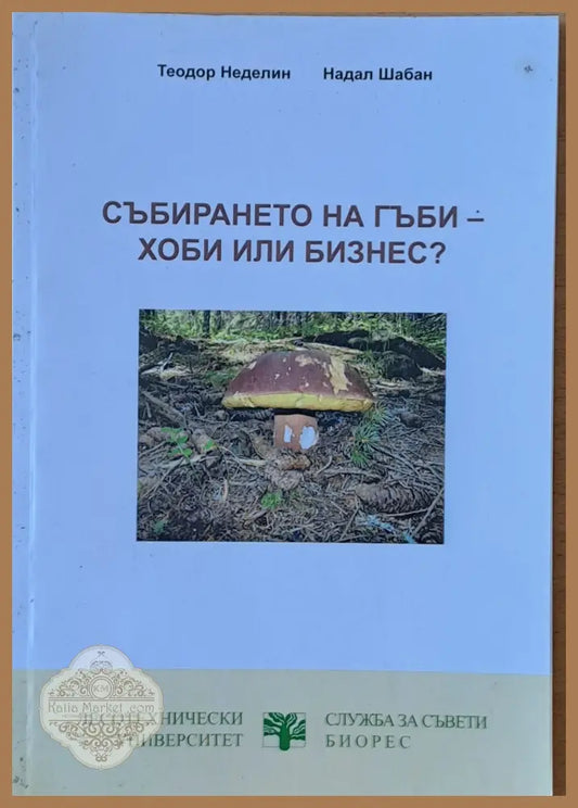 Събирането на гъби - хоби или бизнес? - Теодор Неделин Надал Шабан - Книги