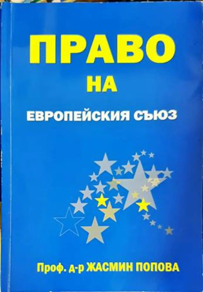 Съдебни грешки (1079) - Книга
