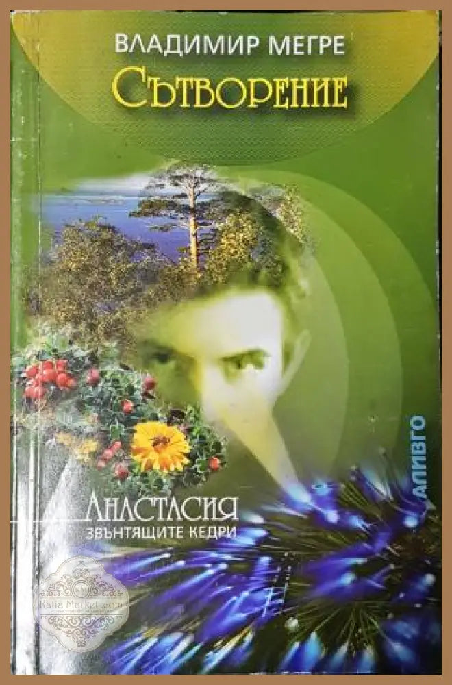 Сътворение - Владимир Мегре - Книга