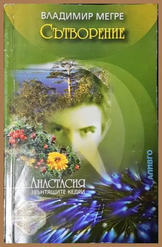 Сътворение - Владимир Мегре - Книга