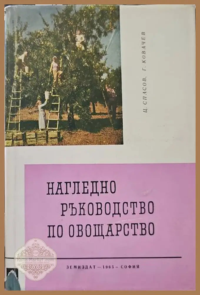Сады узбекистана - Авторски колектив - Книги