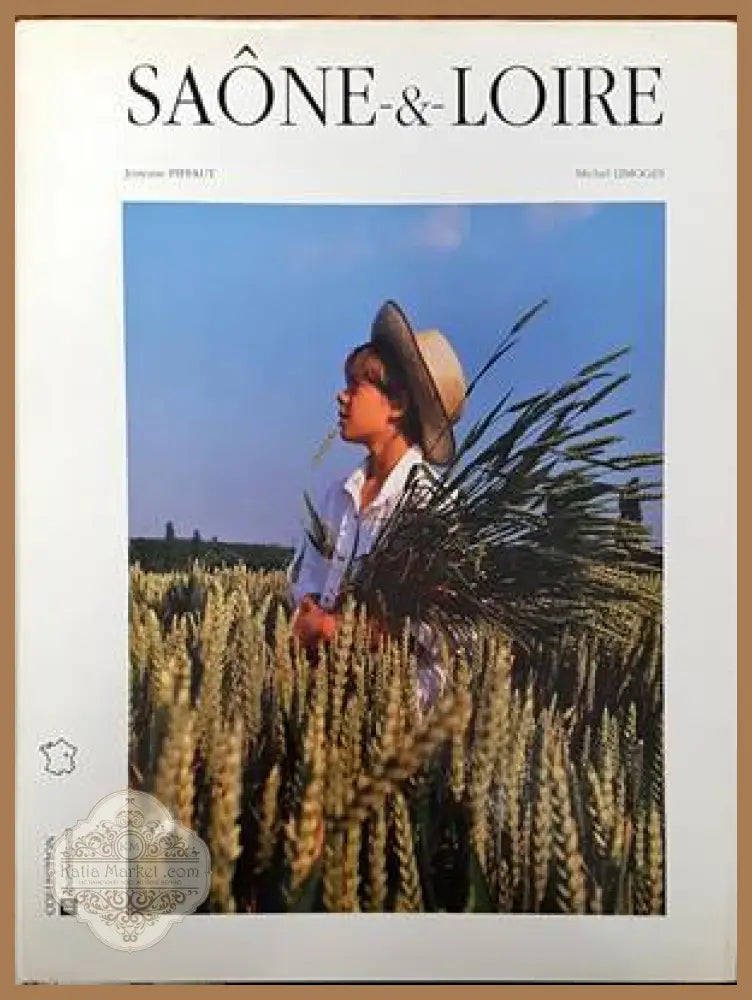 Salone & Loire - Josyane Piffaut Michel Limoges - Книги