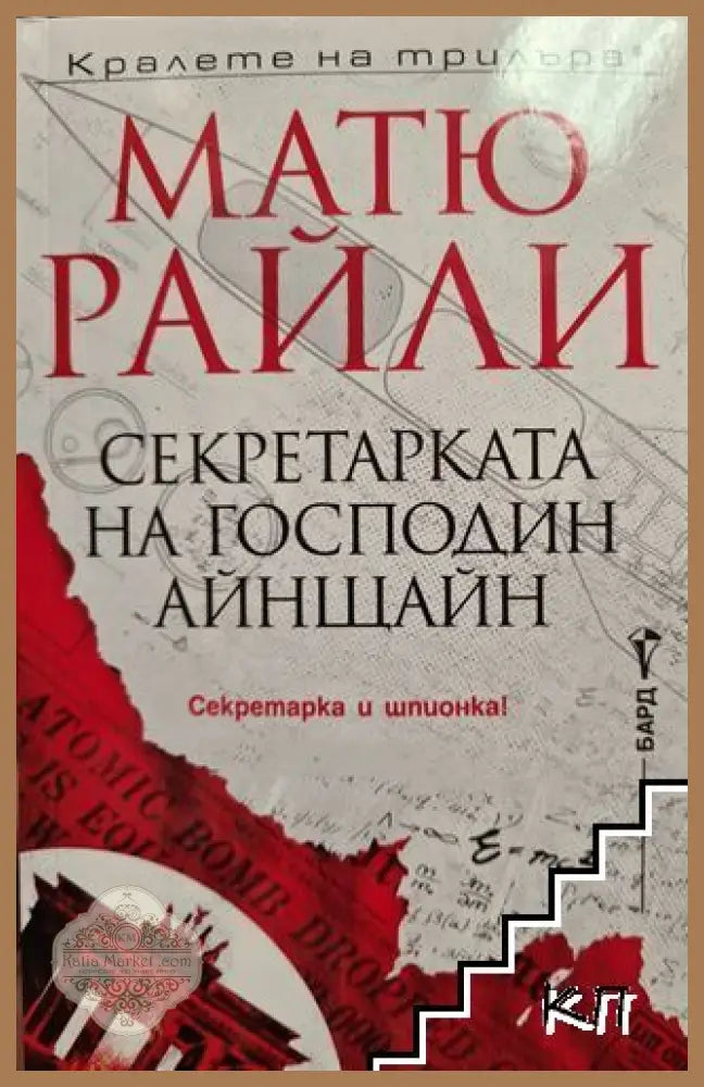 Секретарката на господин Айнщайн - Матю Райли