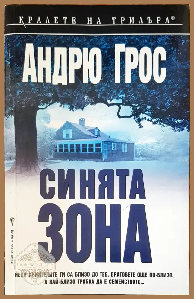 Синята зона - Андрю Грос - Книги