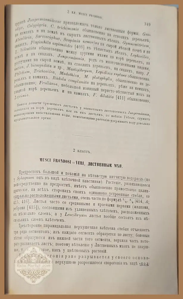 Систематика растений. Част 1 - С. И. Ростовцева - Книги