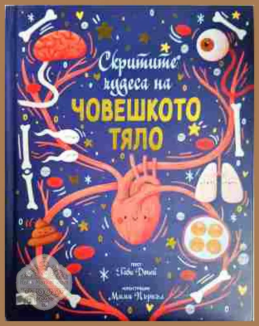 Скритите чудеса на човешкото тяло - Габи Доней