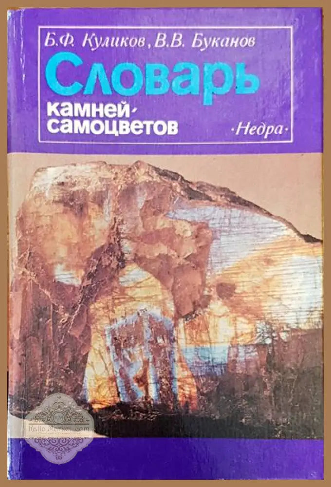 Словарь - Авторски колектив - Книги