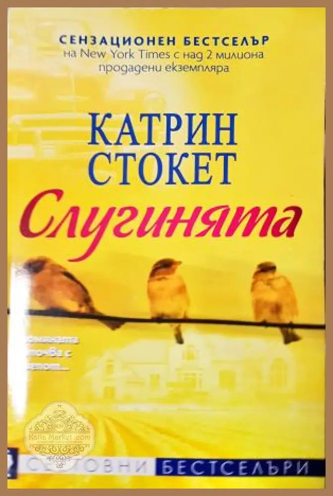 Слугинята - Катрин Стокет - Книга