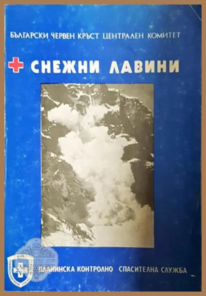 Снежни лавини