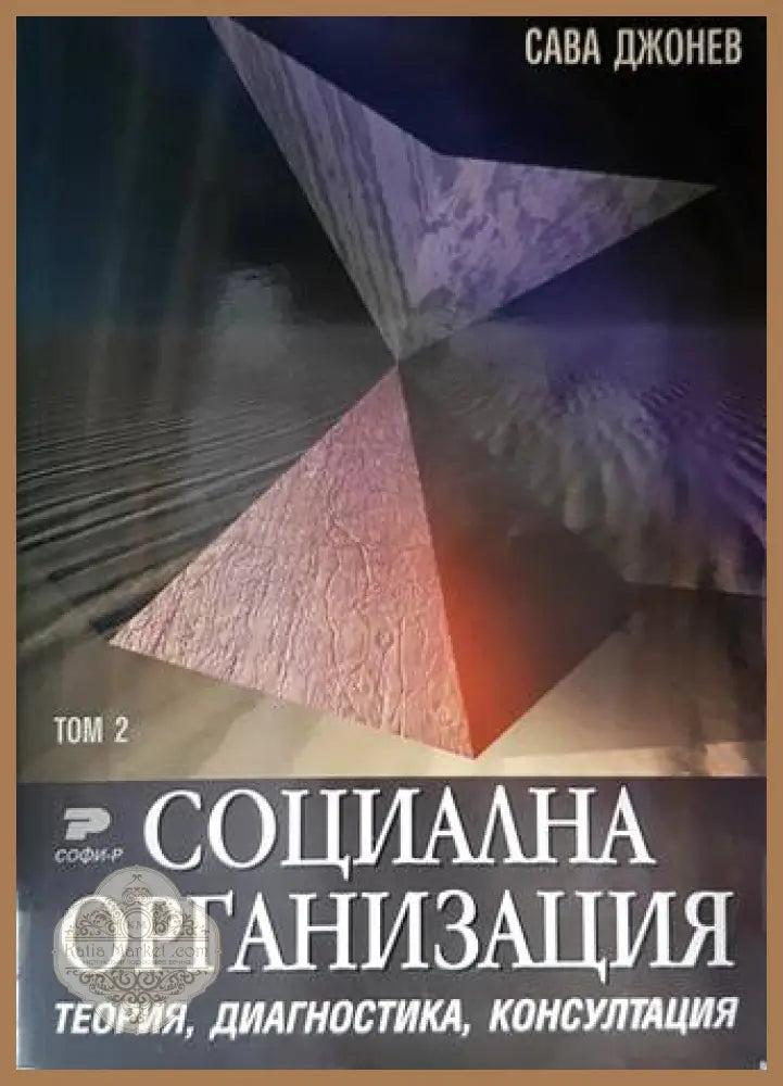 Социална организация. Том 2 - Сава Джонев - Книги