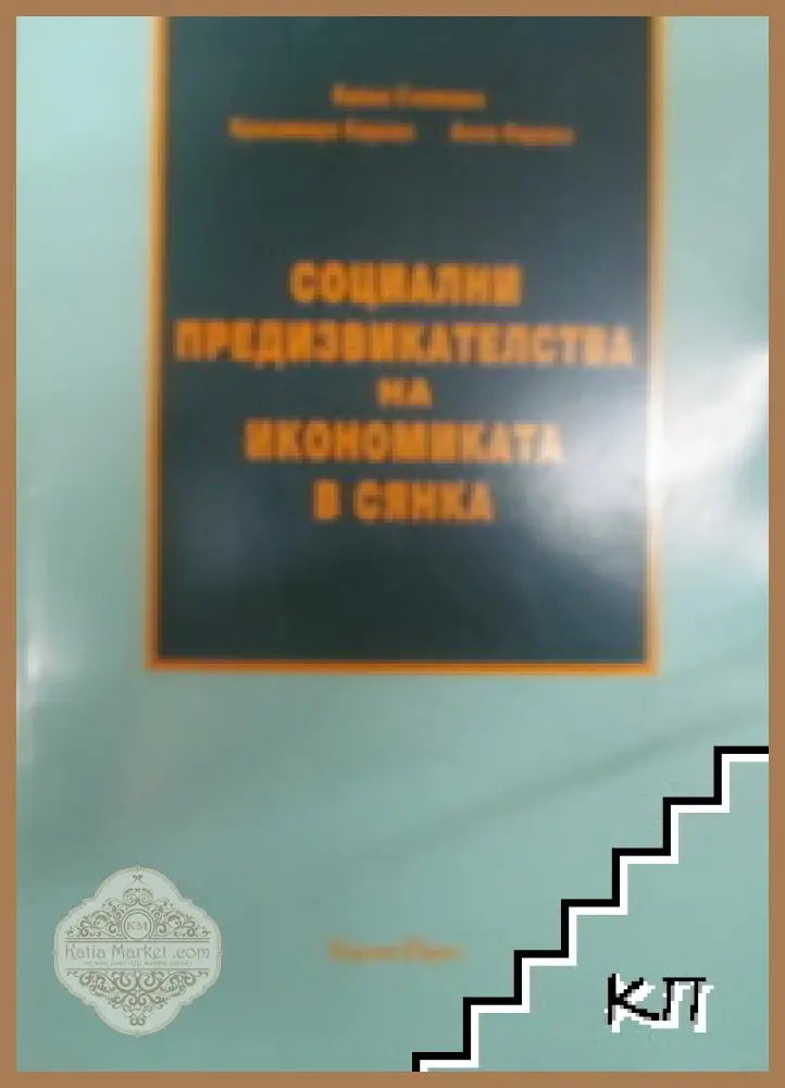 Социални предизвикателства на икономиката в сянка