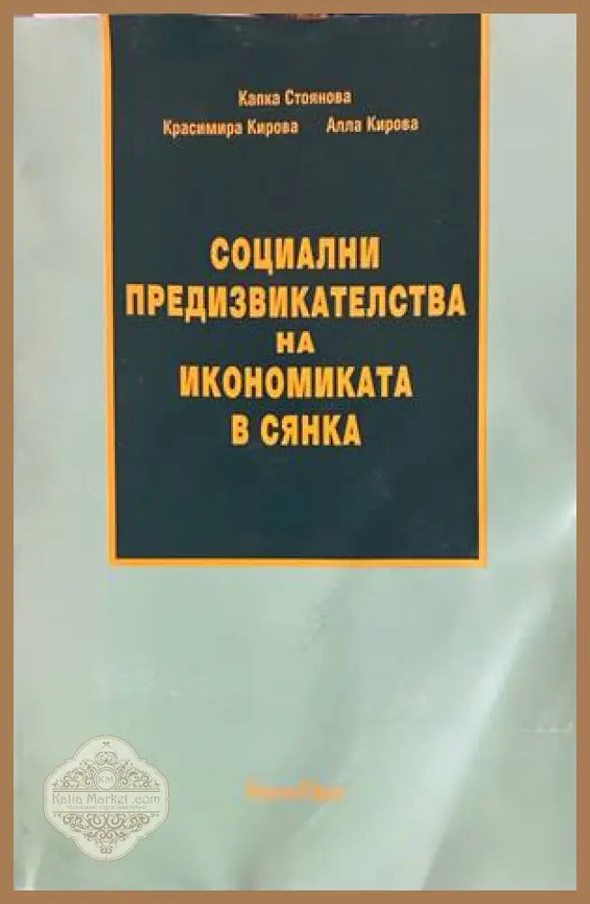 Социални предизвикателства на икономиката в сянка