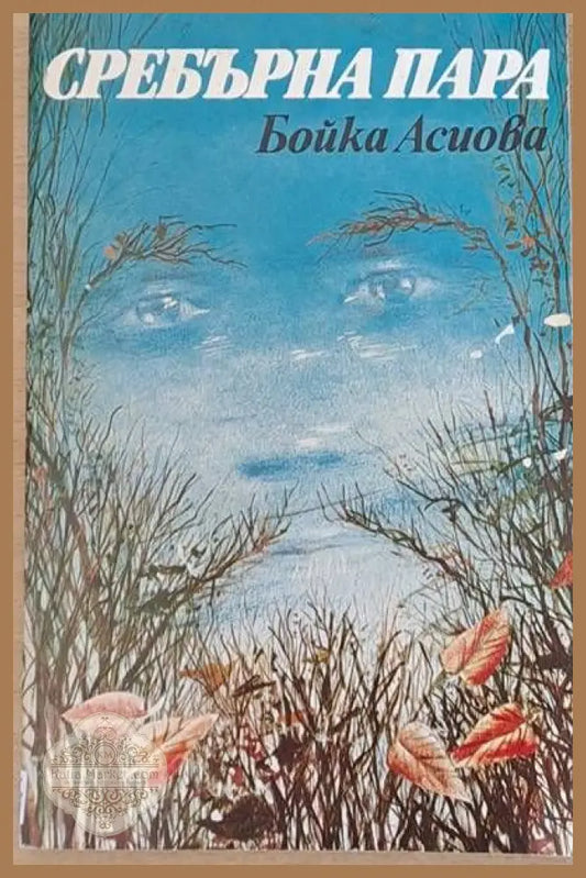 Сребърна пара - Бойка Асиова - Книги