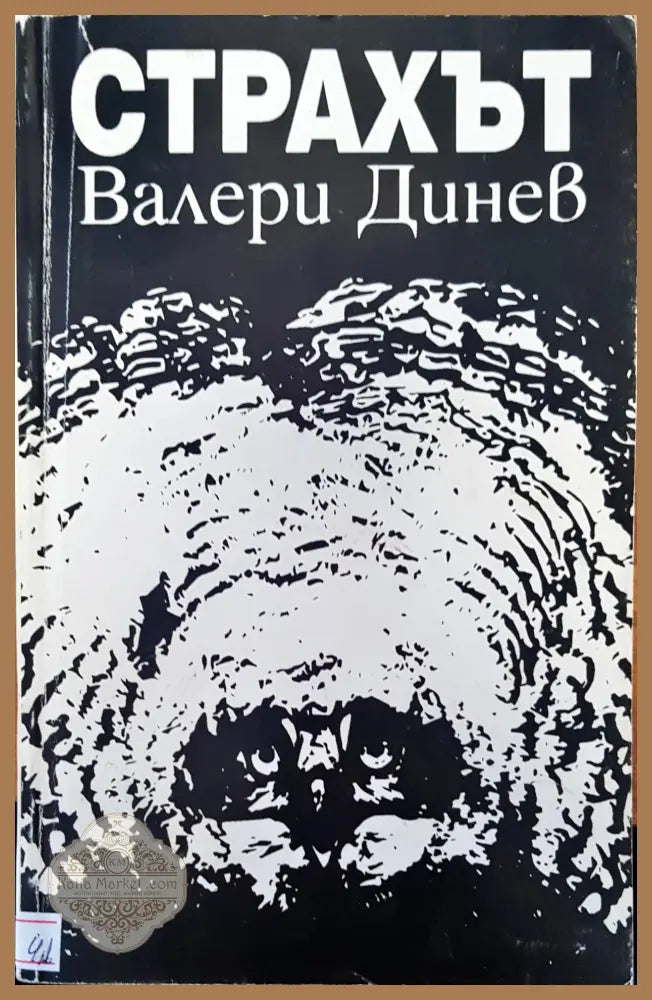 Страхът - Валери Динев - Книги