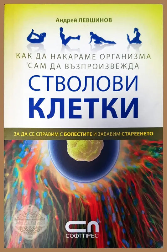 Стволови клетки - Андрей Левшинов - Книги