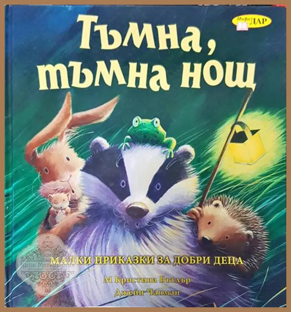 Тъмна тъмна нощ - М. Кристина Бътлър Джейн Чапман - Книги