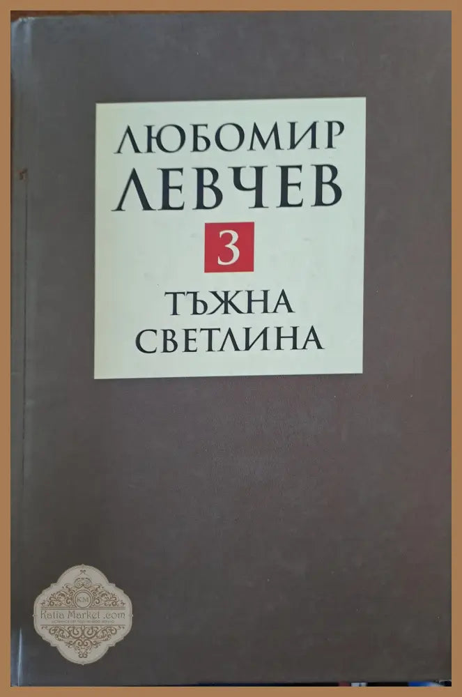 Тъжна светлина - Любомир Левчев - Книги