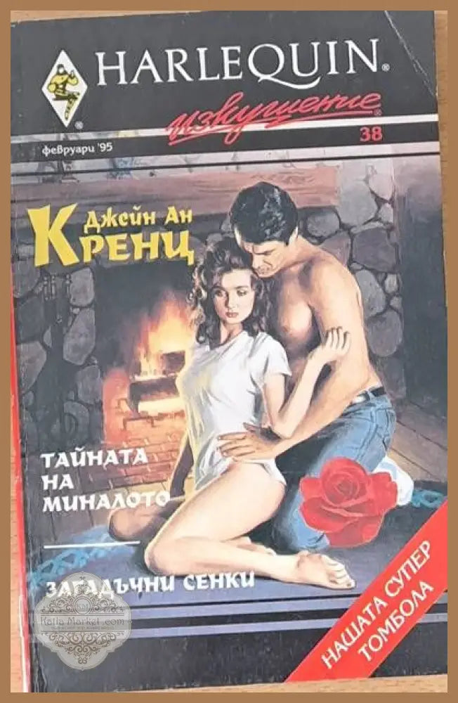 Тайната на миналото - Джейн Ан Кренц - Книги