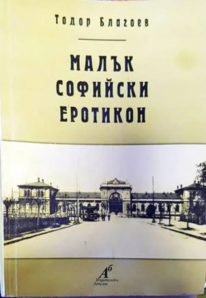 Тайната в очите им (1445) - Книга