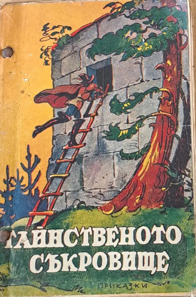 Тайнственото съкровище (46) - Книга