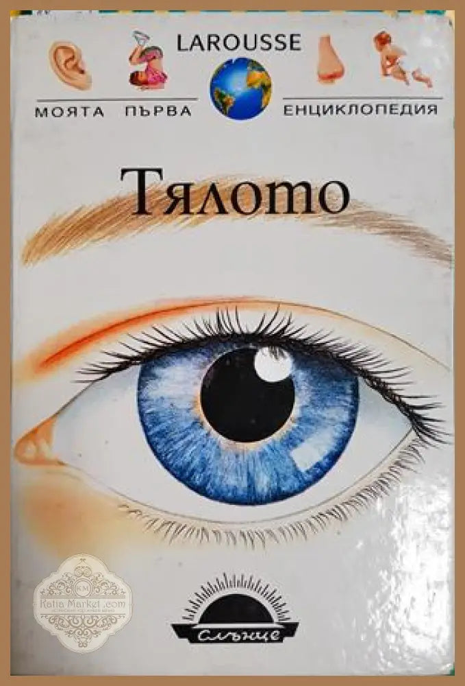 Тялото - Даниел Брьон Франсоа Бернар - Книга