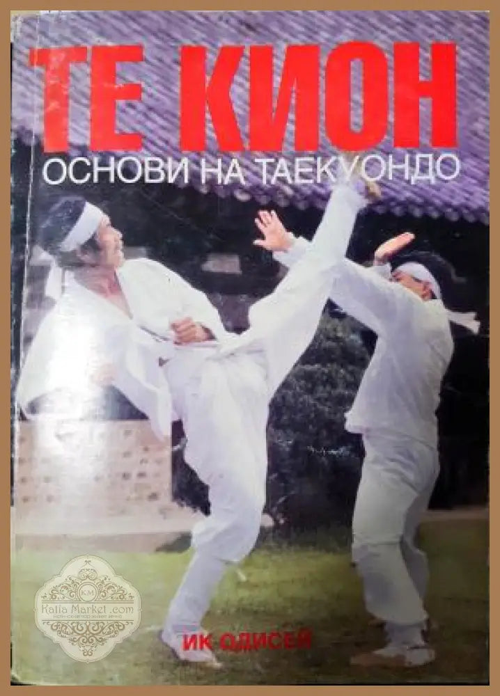 Те Кион: есенцията на Таекуондо - Михаил Георгиев - Книга