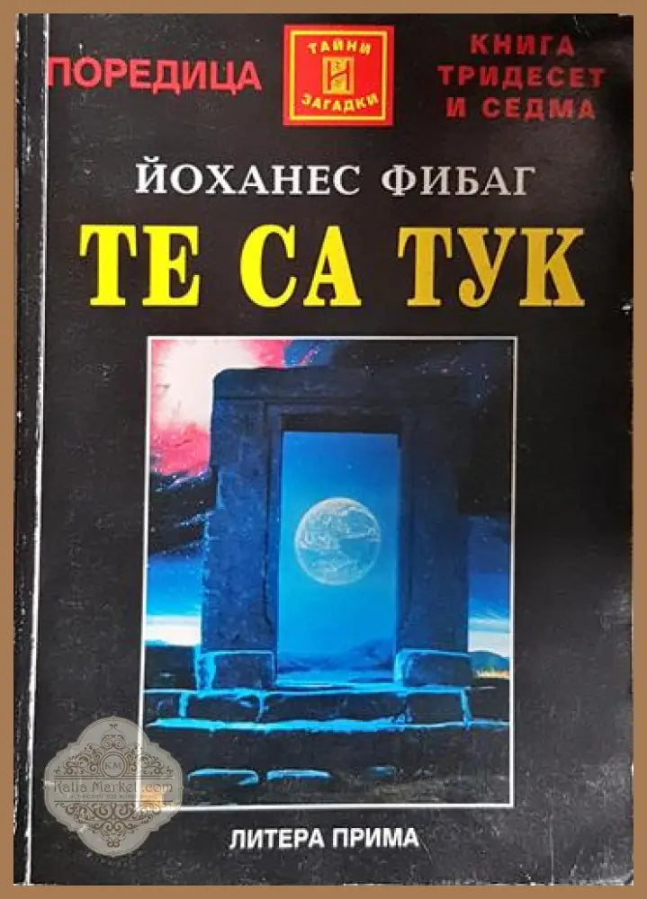 Те са тук - Врати към звездите - Йоханес Фибаг - Книга