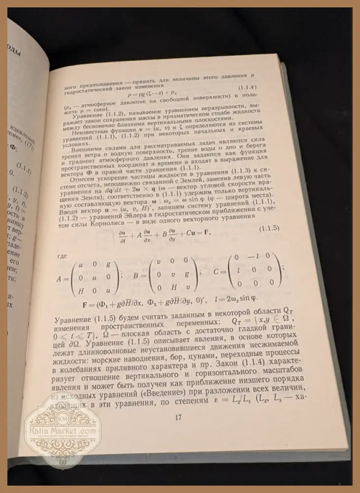 Теория мелкой воды. Океанологические задачи и численные методы - Н. Е. Вольцингер Р. В. Пясковский - Книга
