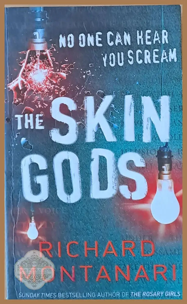 The Skin Gods - Richard Montanari - Книги