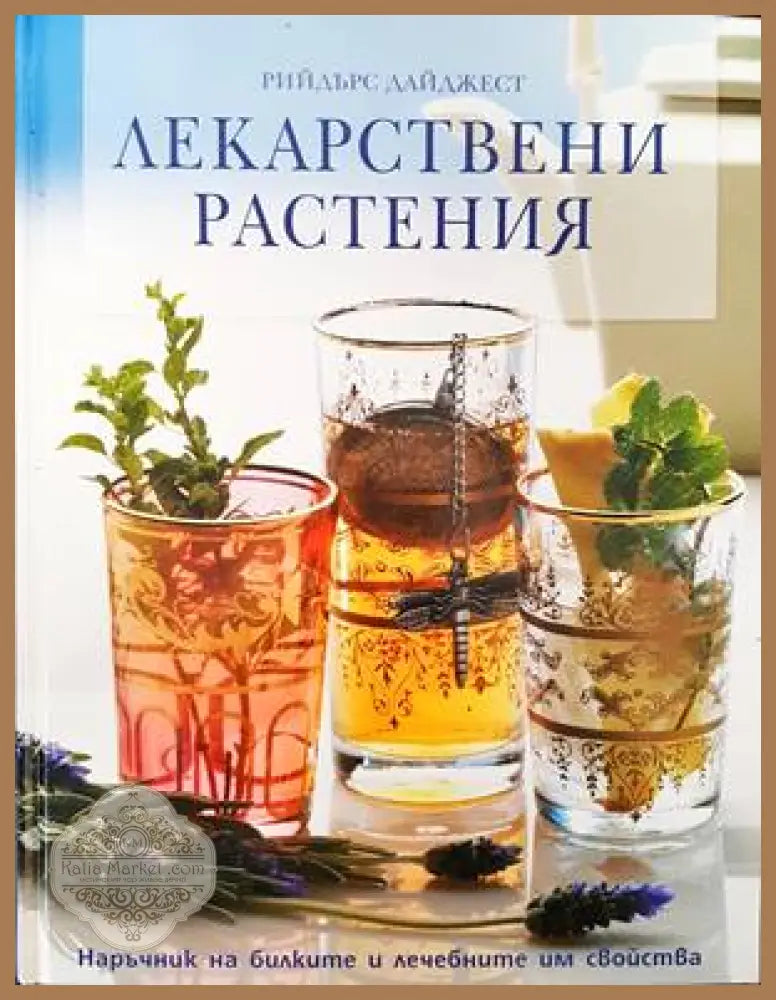 Точков масаж в спорта - Зоя Горанова Дейна Крайджикова - Книги