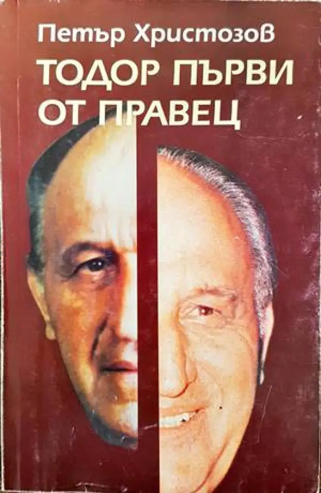 Тодор Първи от Правец (1424) - Книга